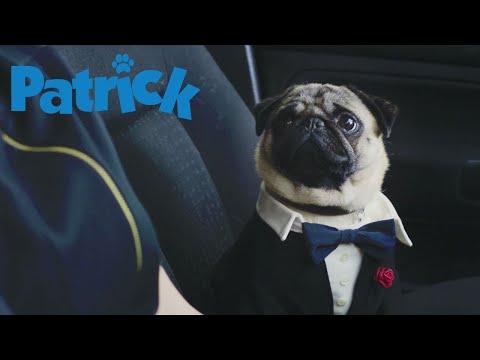 Patrick: Aprendendo a Amar (Patrick) - Trailer Legendado