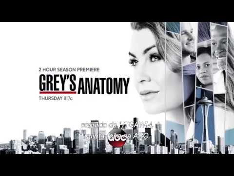 Grey&#039;s Anatomy Season 14 Promo (Legendado)