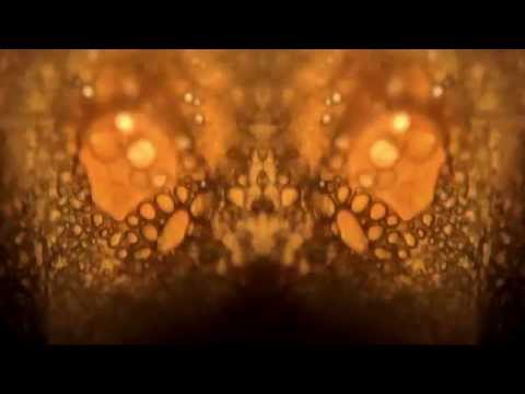 Ventre - Quente (Video Oficial)