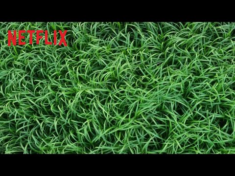 Campo do Medo | Trailer oficial | Netflix