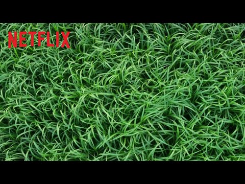Campo do Medo | Trailer oficial | Netflix