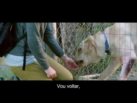 Uma Amizade Verdadeira Trailer Legendado