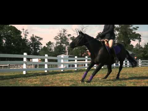 BLACK BEAUTY - Official International Trailer