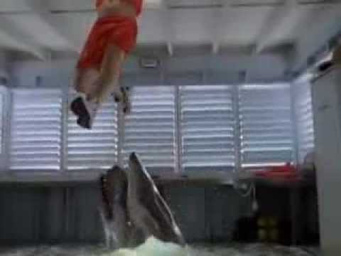 Trailer e filme - Tubarão de Malibu
